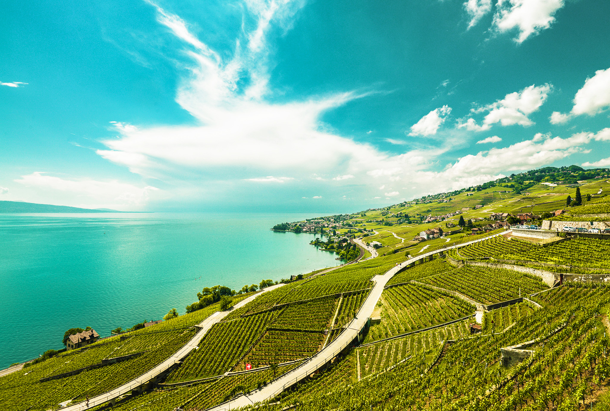 Apéritif Lavaux